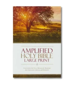 Amplified Holy Bible, Large Print, Hardcover