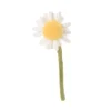 Bamse, Daisy, Hvid