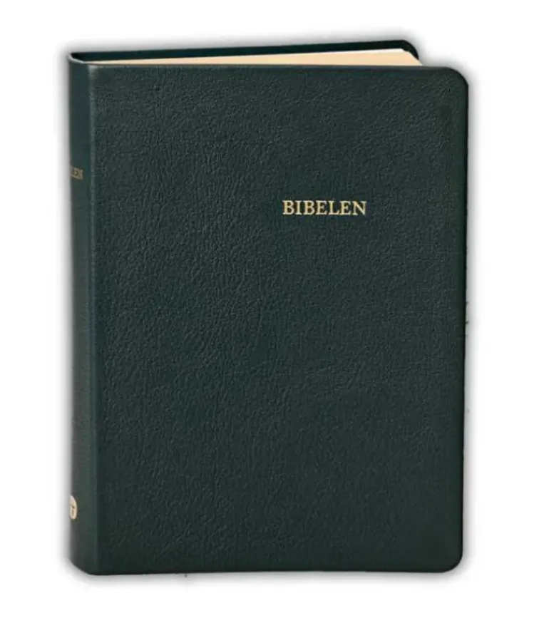 Bibelen i ægte sort skind