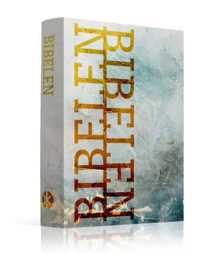 Bibelen på Hverdagsdansk. Paperback, frost