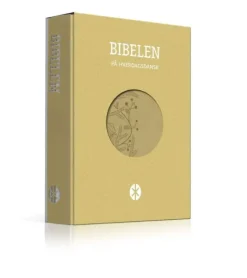 Bibelen på Hverdagsdansk 2024, TREND, sand