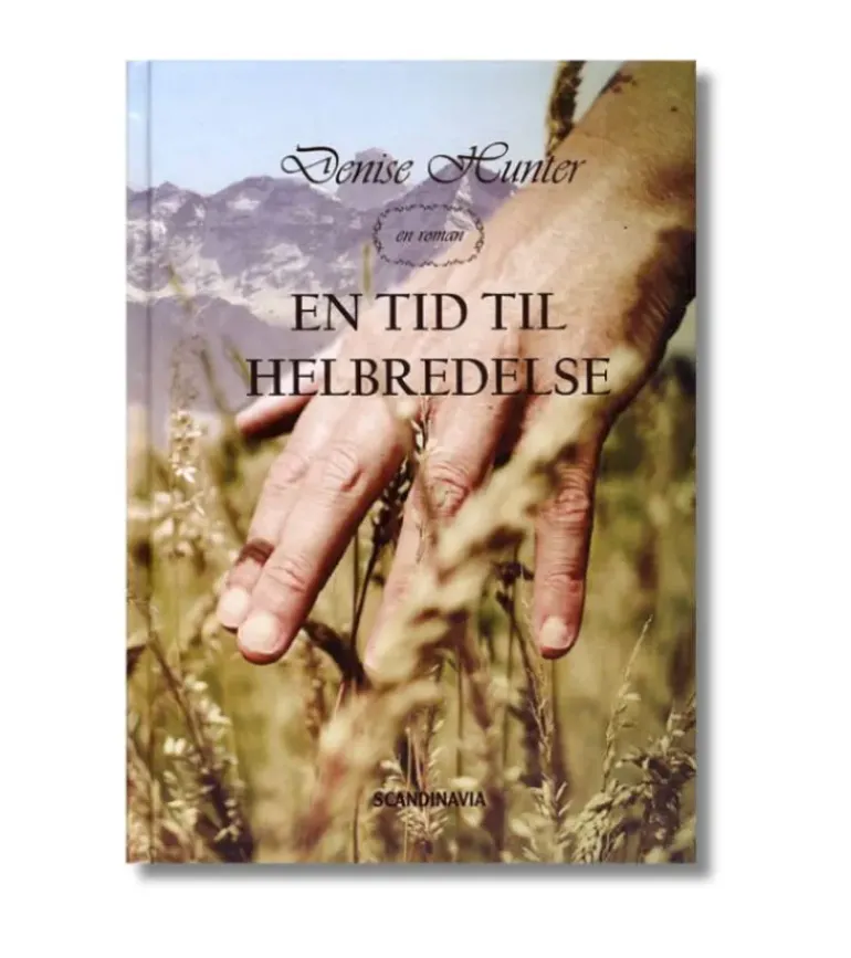En tid til helbredelse af Denise Hunter