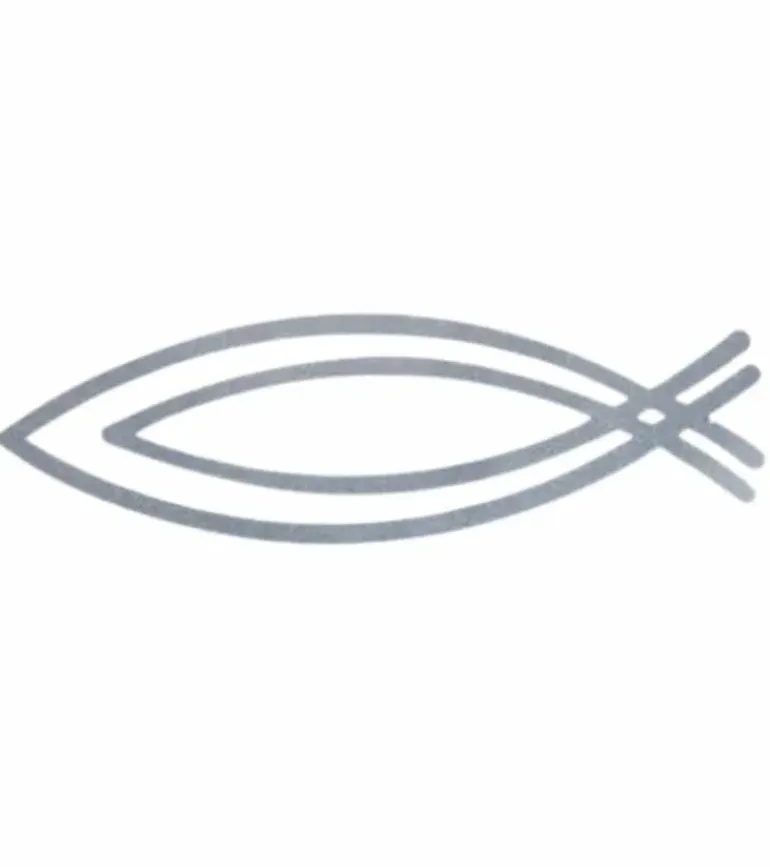 Fisk til bilen, dobbelt, Reflekterende