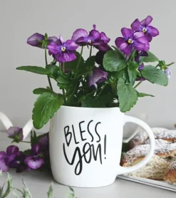 Krus: Bless You