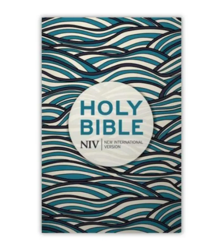 NIV Holy Bible, paperbag