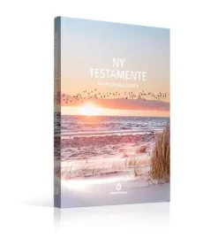 Ny Testamente på hverdagsdansk, strand