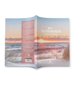 Ny Testamente på hverdagsdansk, strand