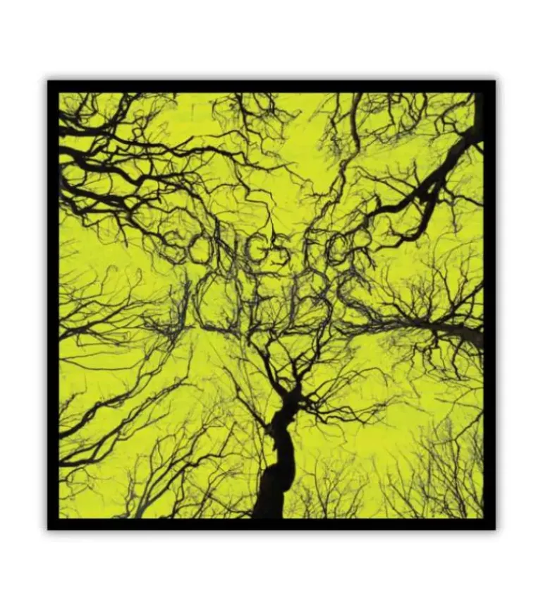 Songs for Joebs – CD