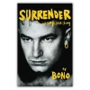 SURRENDER af Bono