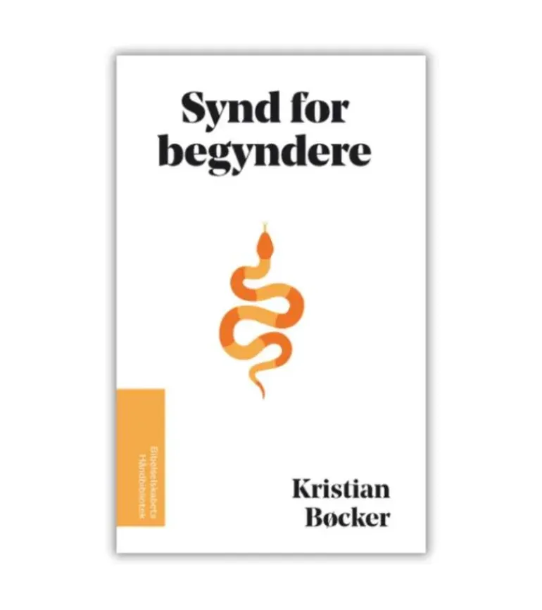 Synd for begyndere af Kristian Bøcker